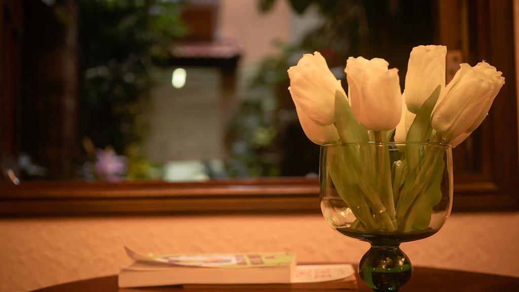 Cam Ly Boutique Apartment & Hotel 호치민 외부 사진