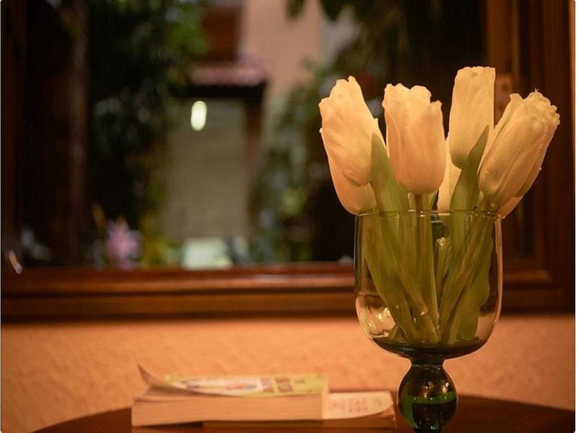 Cam Ly Boutique Apartment & Hotel 호치민 외부 사진